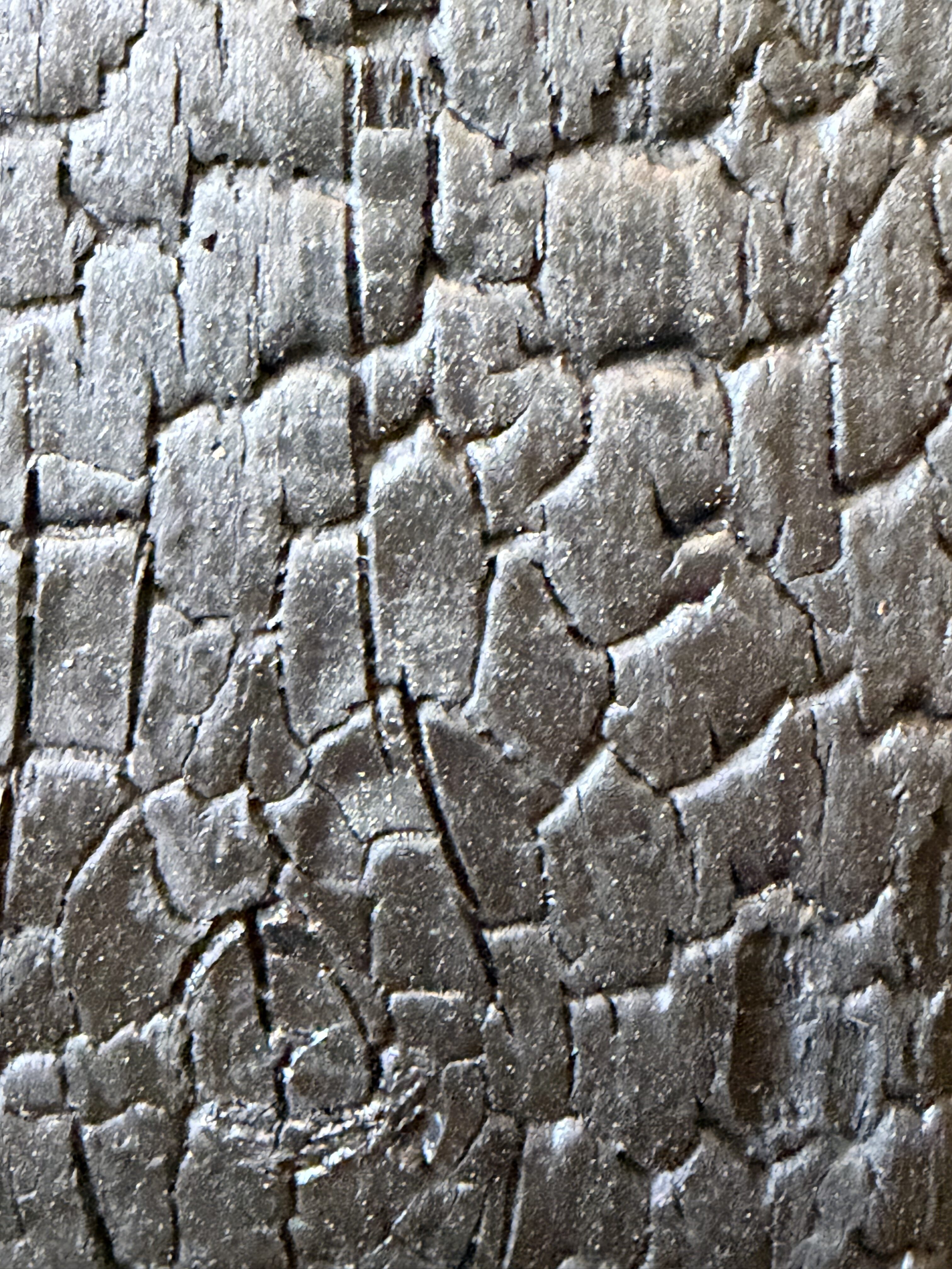 Golvende Zwarte Houten Spiegel detail